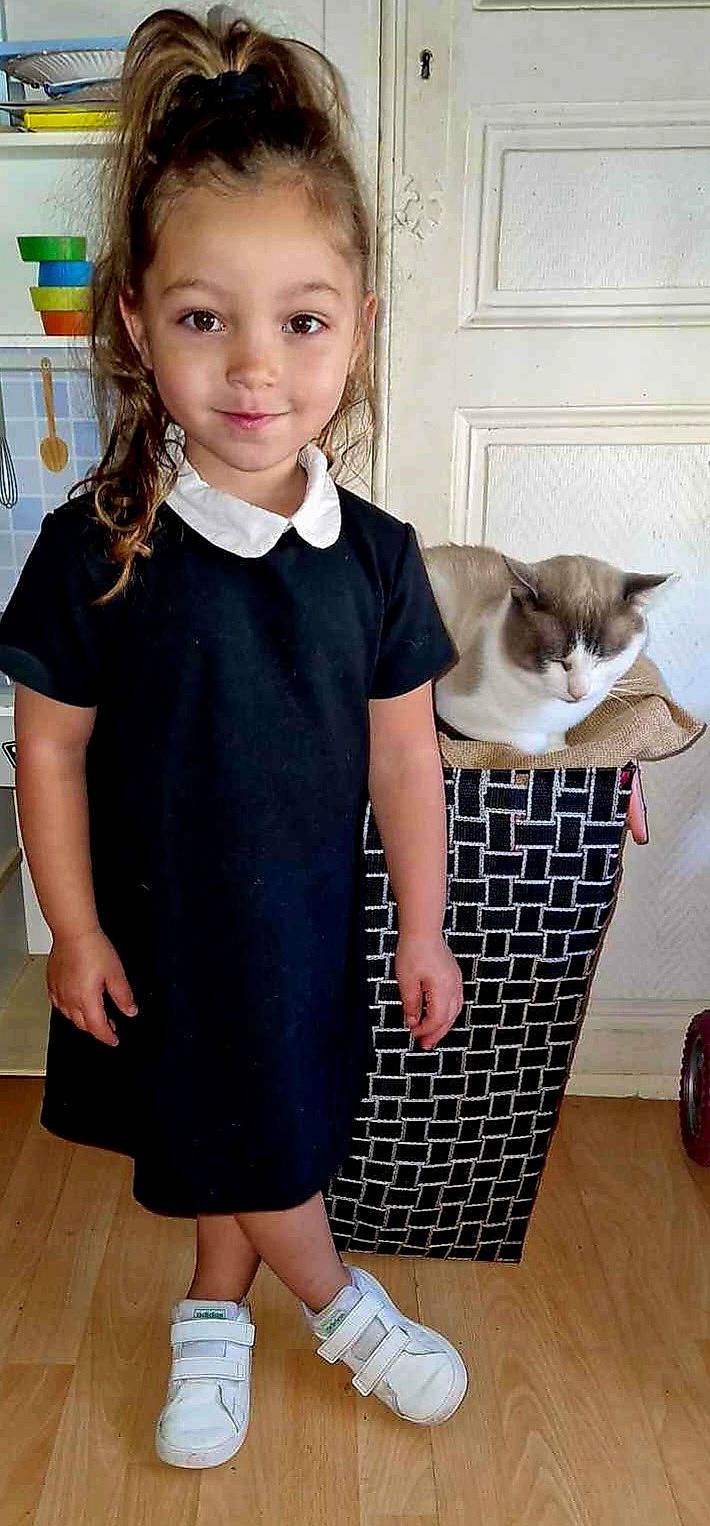 Jahyana participe au concours pour gagner de l'argent avec cette photo : bow_tie, carnivore, cat, child, domestic_short_haired_cat, electric_blue, event, fawn, felidae, formal_wear, fur, hairstyle, jewellery, joy, pattern, person, shoulder, sleeve, small_to_medium_sized_cats, smile