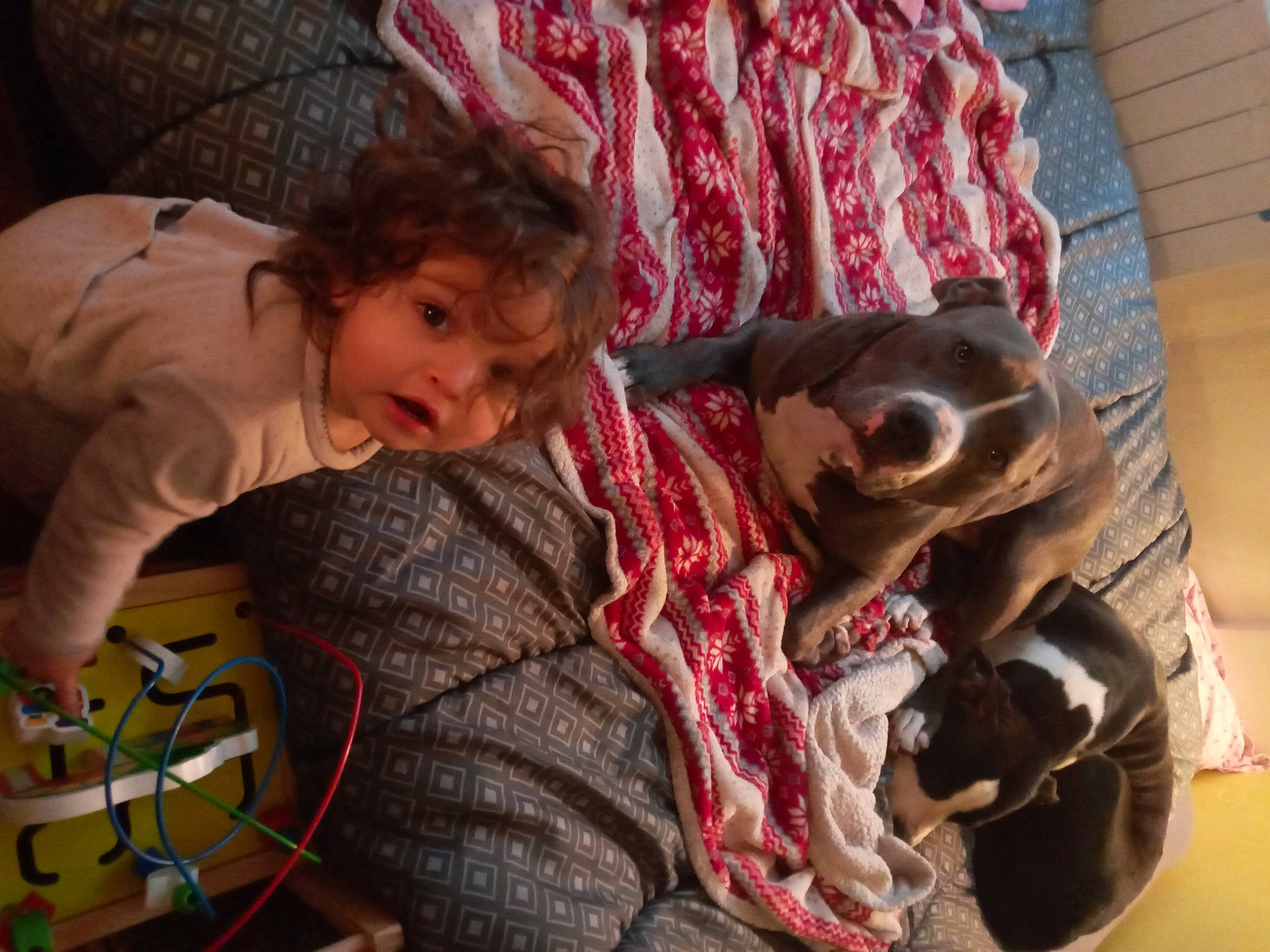 Jahyana a rejoint le concours — aidez-le/la à gagner de superbes lots ! baby, child, comfort, companion_dog, fawn, felidae, fun, happy, head, lap, leisure, linens, mammal, person, sitting, smile, stuffed_toy, textile, toddler, toy