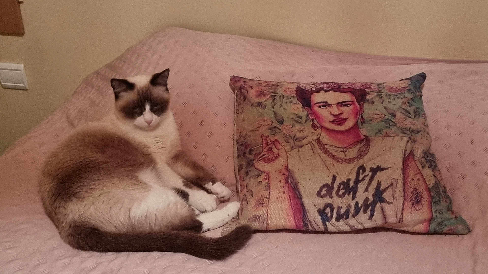 Pépite