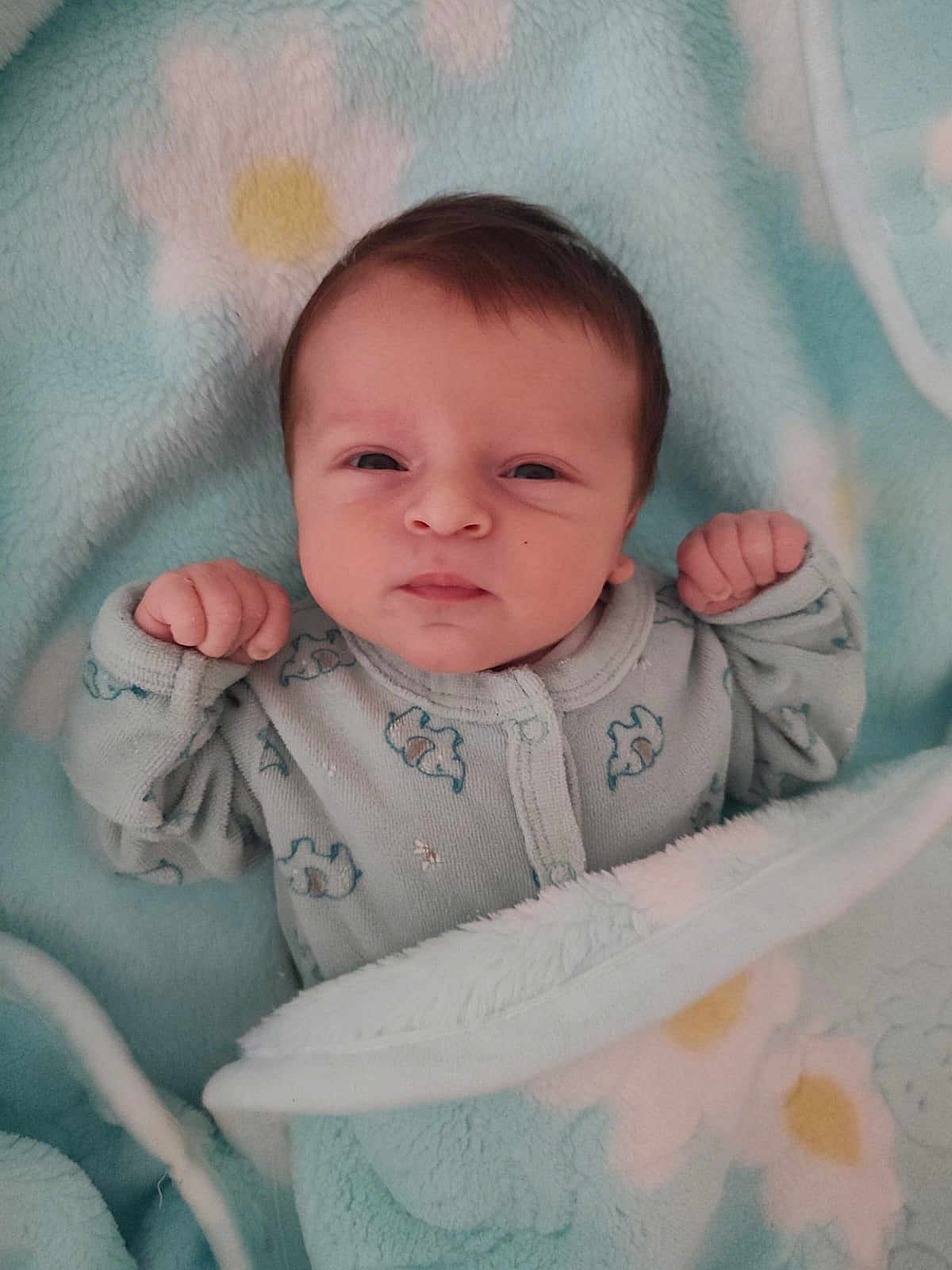 Deniz participe au concours pour gagner de l'argent avec cette photo : baby, infant, blanket, blue_blanket, flower_pattern, cozy, cute, fist, sleepwear, young_child, portrait, face, head, indoors, soft_texture, newborn, person, resting, wrapped, sleeping_area