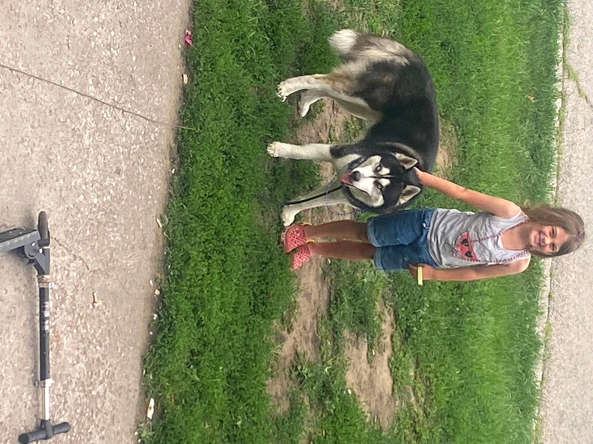 Lucky joined the competition — help win amazing prizes! adventure, asphalt, concrete, curb, fun, grass, happy, landscape, lawn, leisure, people_in_nature, plant, recreation, road_surface, shadow, shrub, sidewalk, soil, toddler, tree