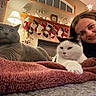 cat, person, blanket, indoor, fireplace, stockings, holiday, christmas, decorations, lamp, smile, cozy, fur, resting, pet, warm, home, celebration, festive, relaxing