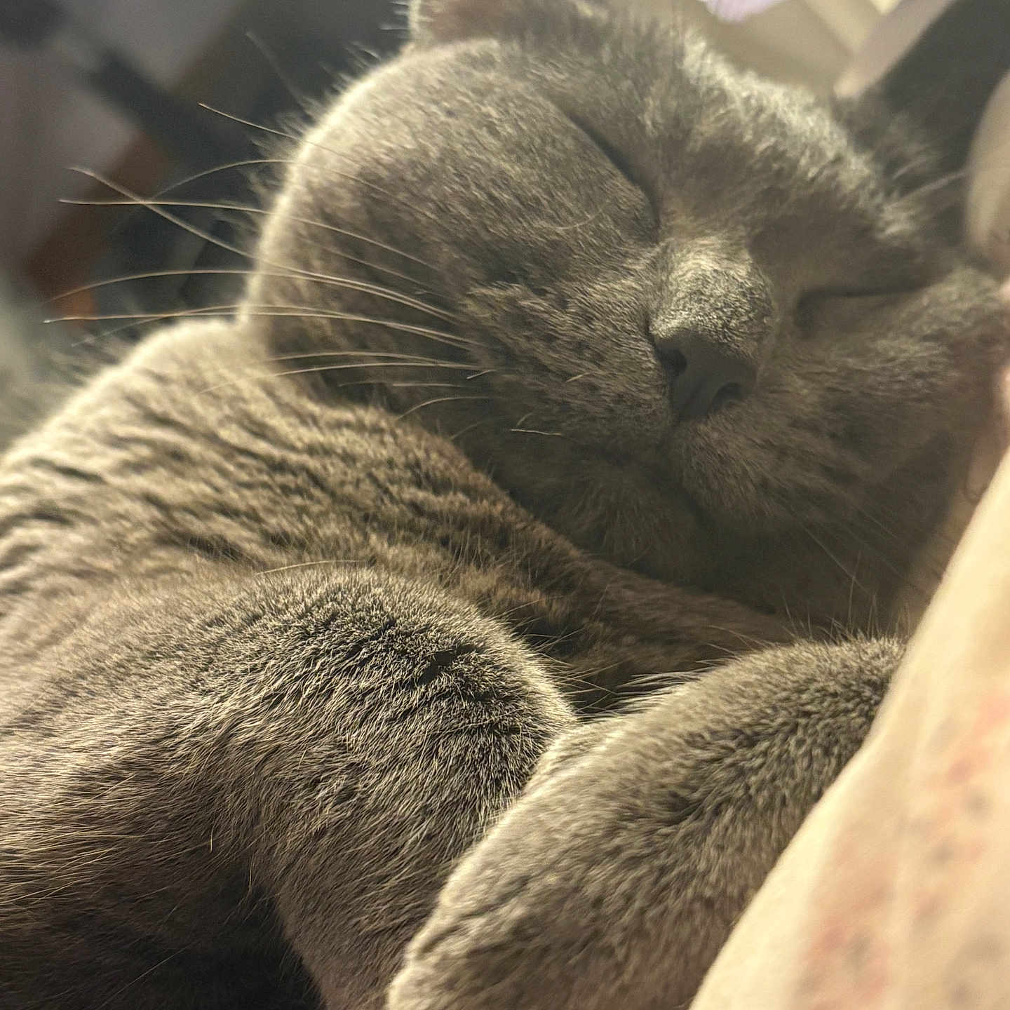 Taffy