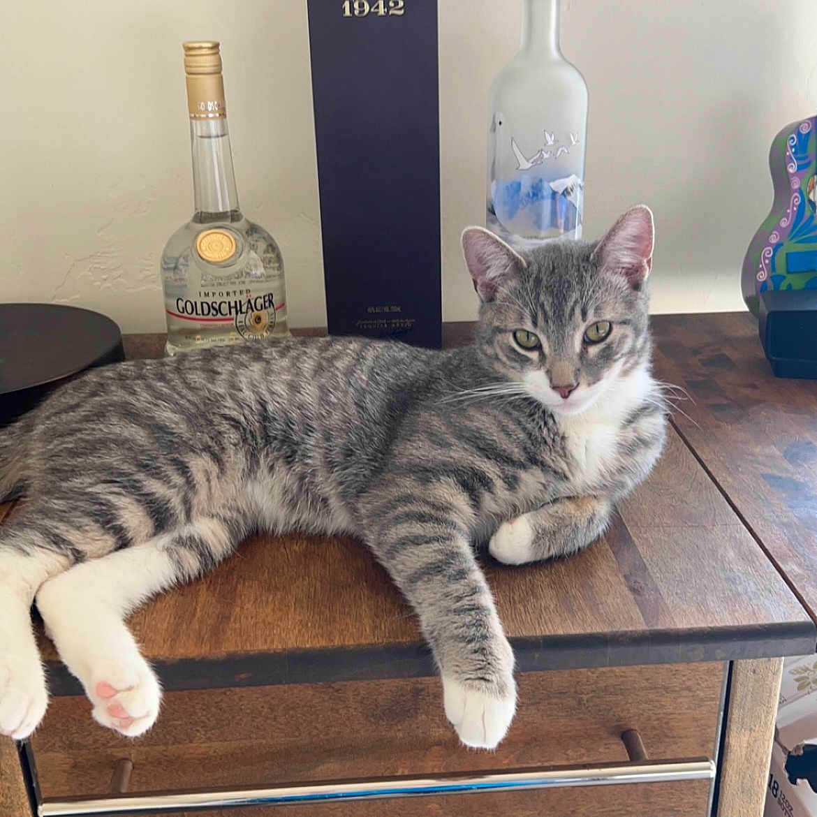 Benji