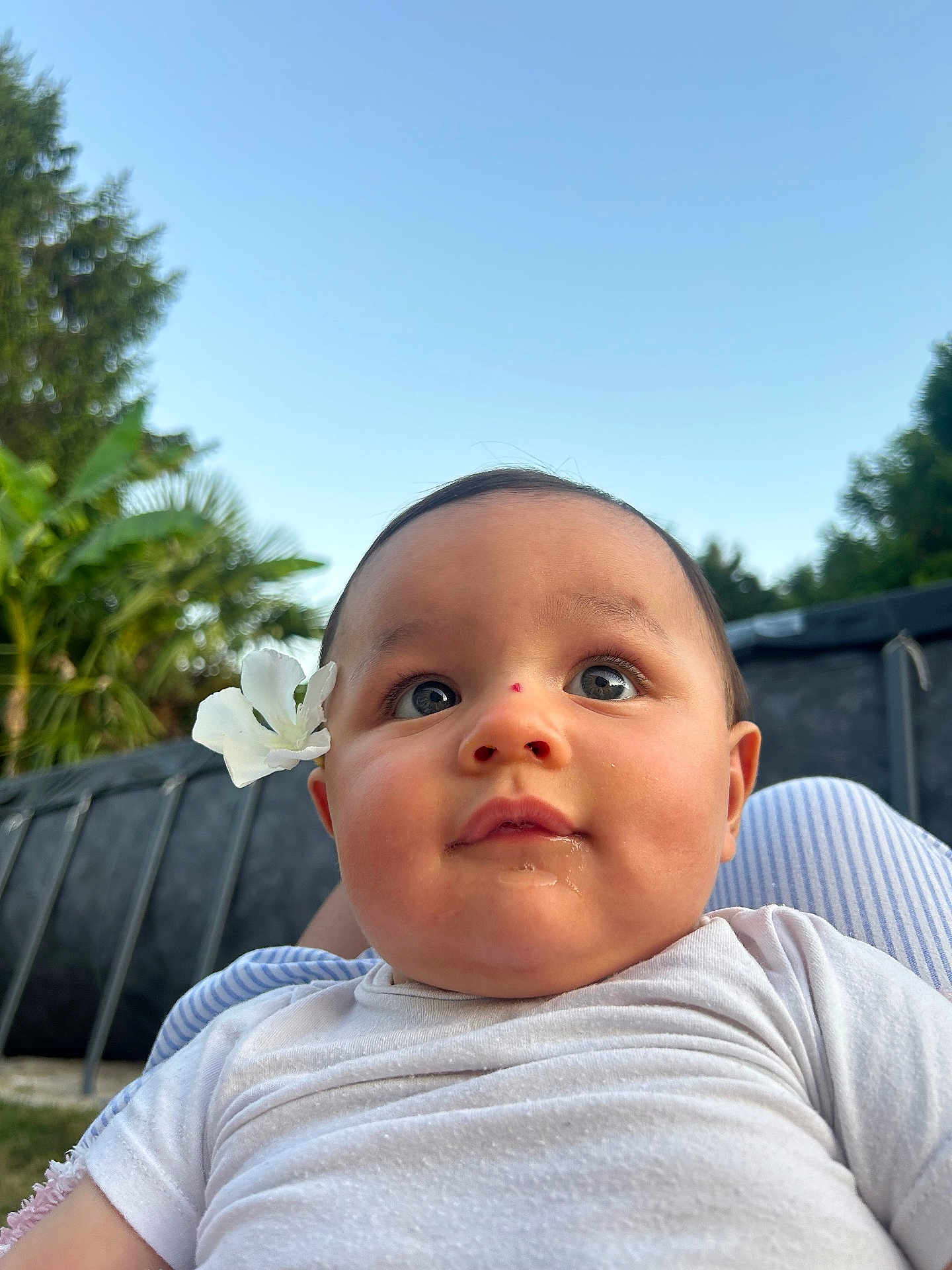 Aïna