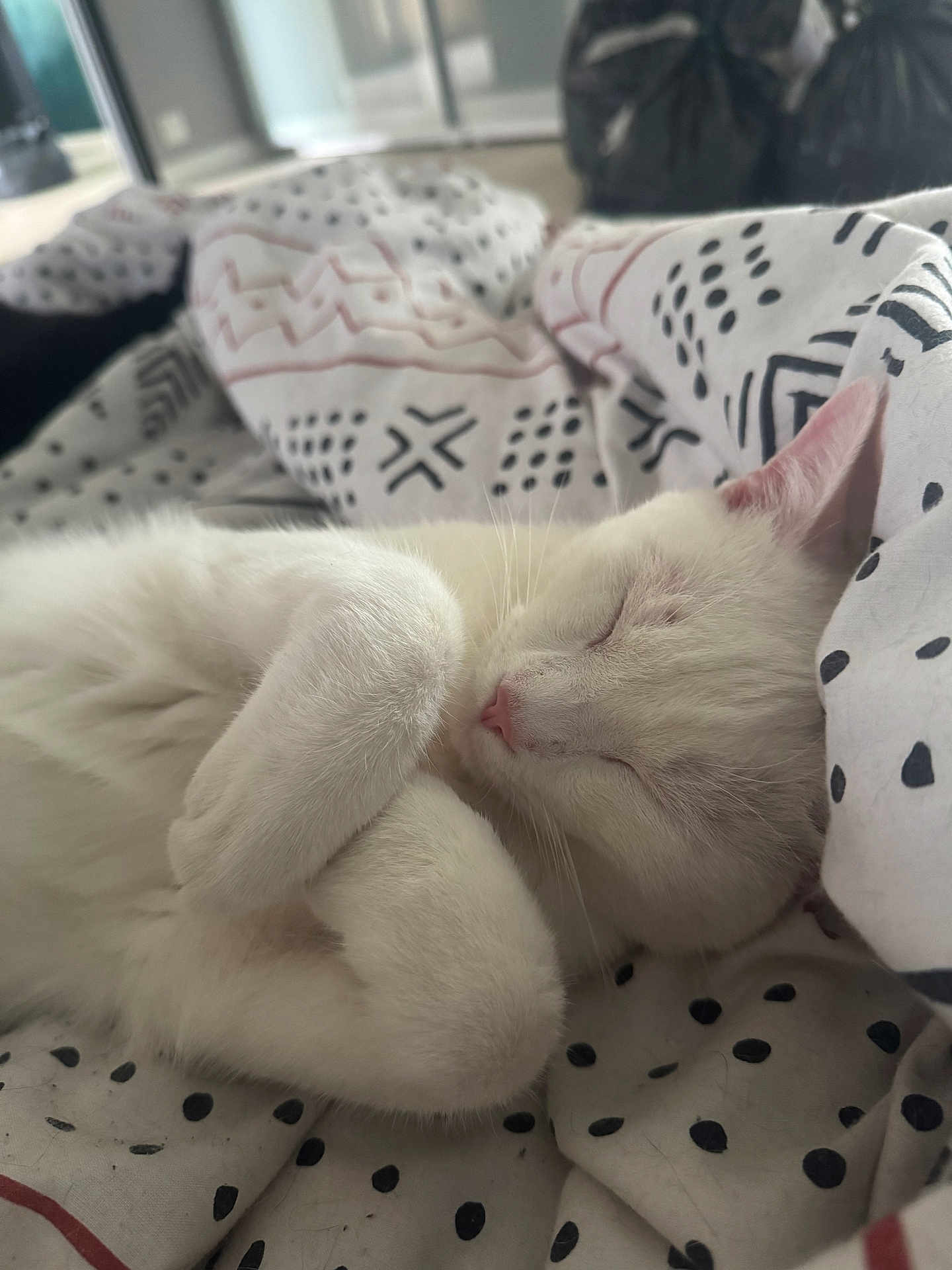 Yuki