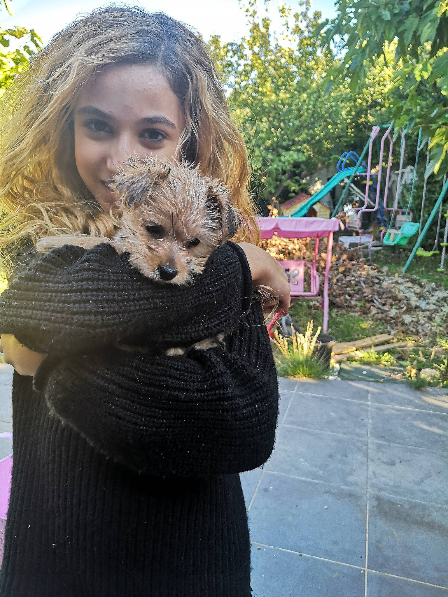 Mathilde a rejoint le concours — aidez-le/la à gagner de superbes lots ! canidae, carnivore, child, companion_dog, dog, fawn, joy, person, plant, toy_dog