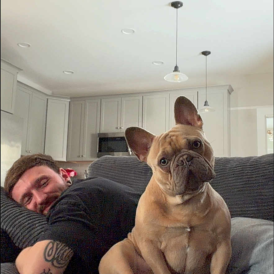Malachi is registered to the contest to win money with this photo: man, dog, french_bulldog, couch, living_room, indoor, tattoo, black_shirt, gray_pants, lamp, kitchen, cabinet, relaxing, pet, furniture, home, cozy, portrait, companion, curious