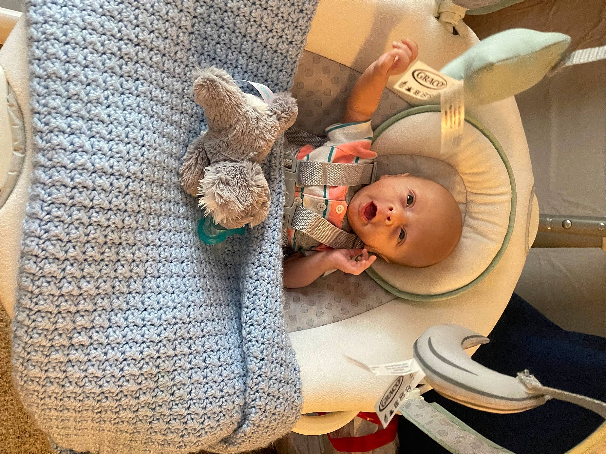 Cyrus joined the competition — help win amazing prizes! art, baby_products, baby_toys, child, comfort, doll, fur, hat, headgear, linens, pattern, person, plush, product, room, service, shelf, stuffed_toy, toy, wood