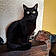 Blacky
