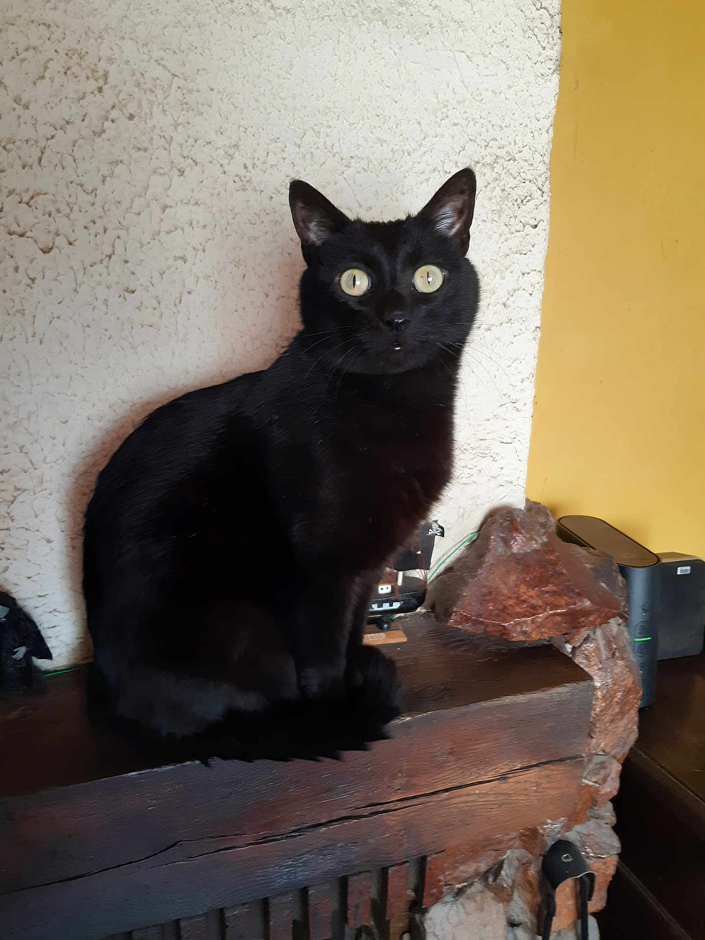 Blacky