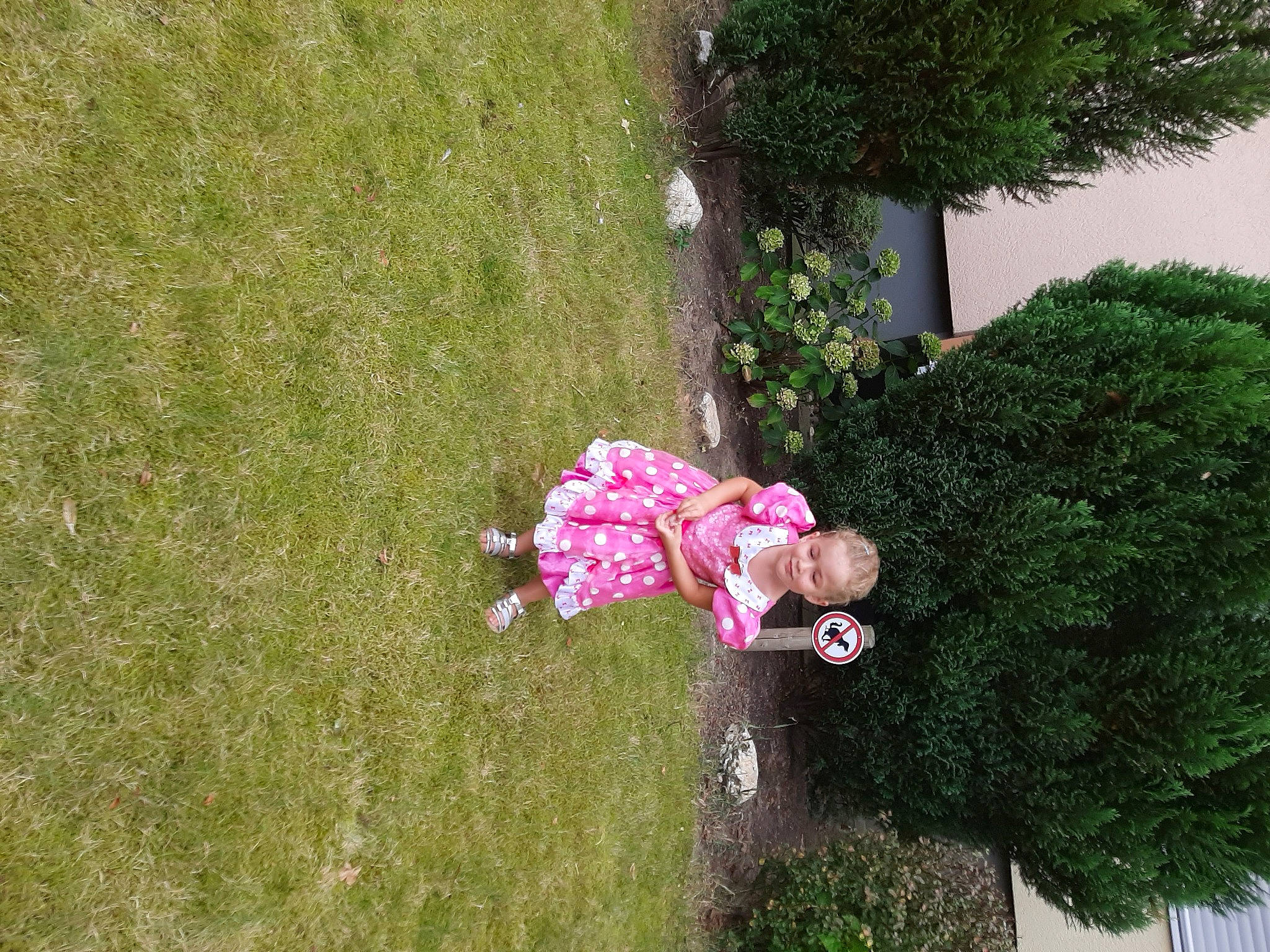 Syham participe au concours pour gagner de l'argent avec cette photo : baby, baby_toddler_clothing, evergreen, garden, grass, grass_family, groundcover, hedge, lawn, meadow, people_in_nature, person, shrub, yard