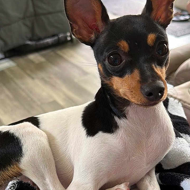 Mia