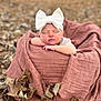 baby, sleeping, bow, headband, blanket, autumn, leaves, outdoor, nature, peaceful, infant, portrait, soft, cozy, child, cute, face, resting, fall, newborn