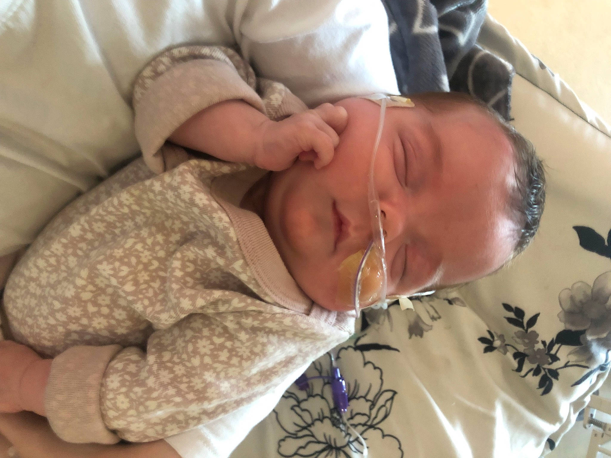 Maralee is registered to the contest to win money with this photo: baby, baby_products, baby_sleeping, baby_toddler_clothing, bedtime, child, comfort, eyelash, gesture, linens, nap, pattern, person, sleep, sleeve, toddler, tree