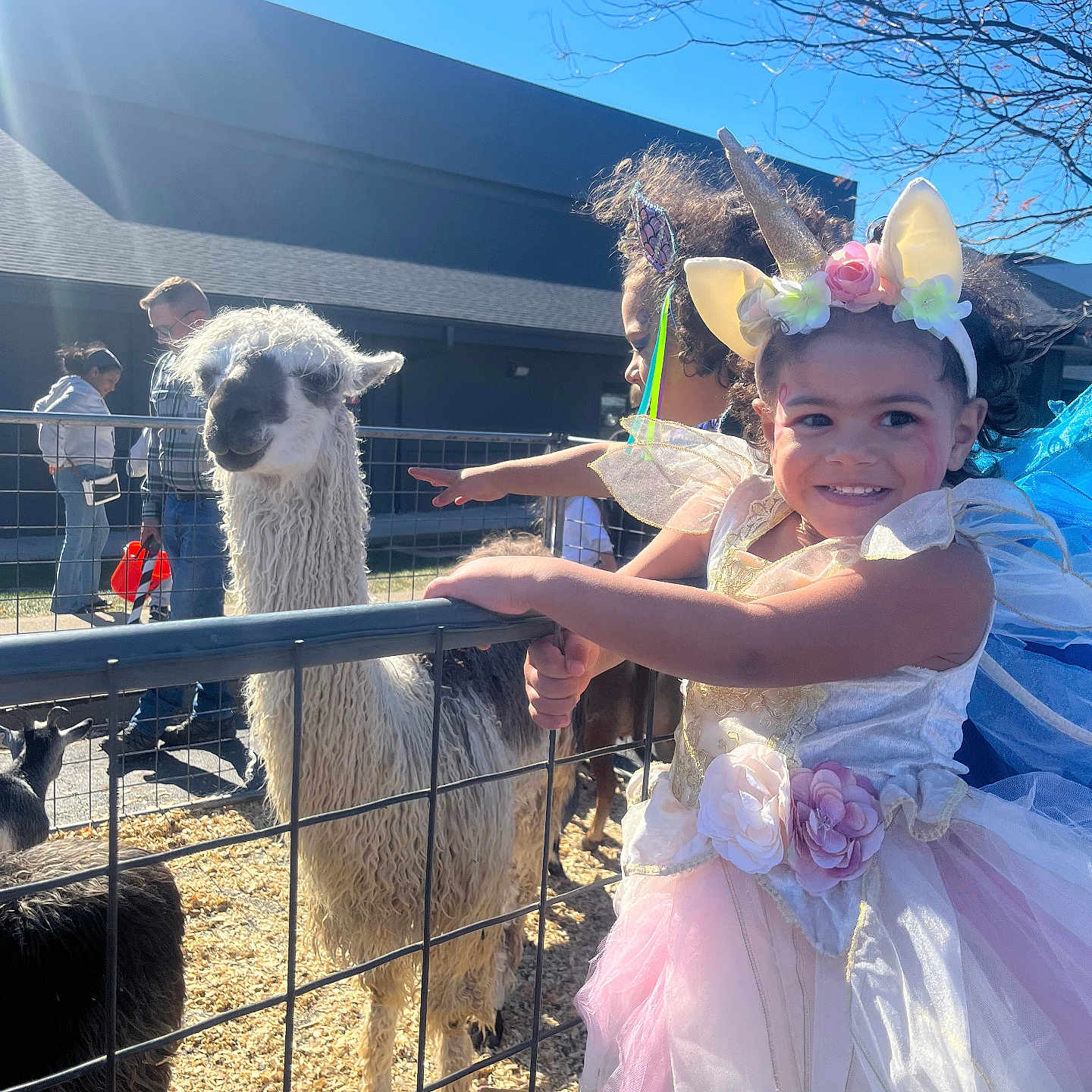Kiya joined the competition — help win amazing prizes! accessories, animal, baby, bag, clothing, costume, dress, face, fashion, footwear, formalwear, gown, handbag, head, livestock, person, photography, portrait, sheep, shoe