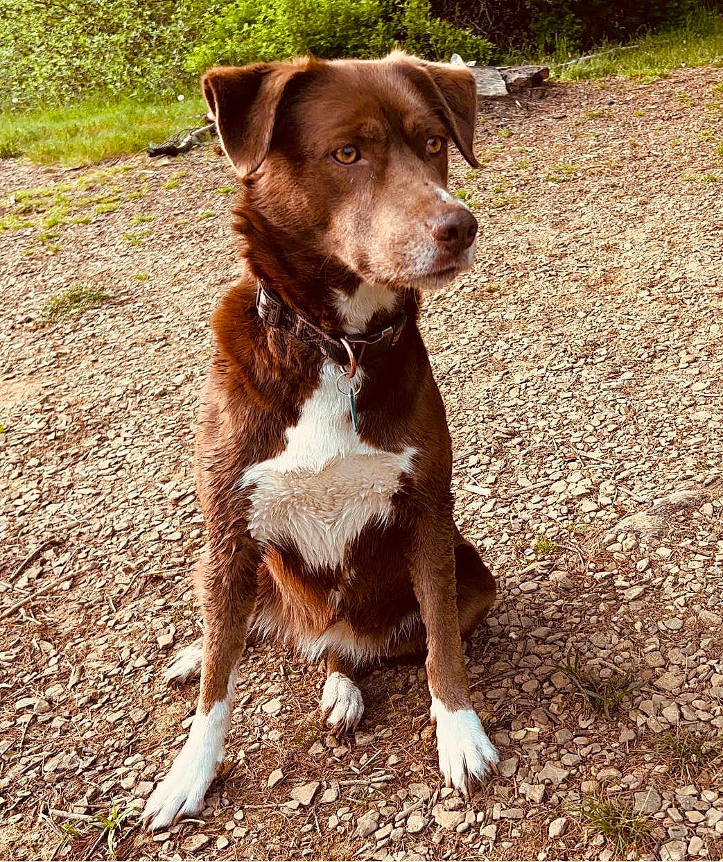 Coco