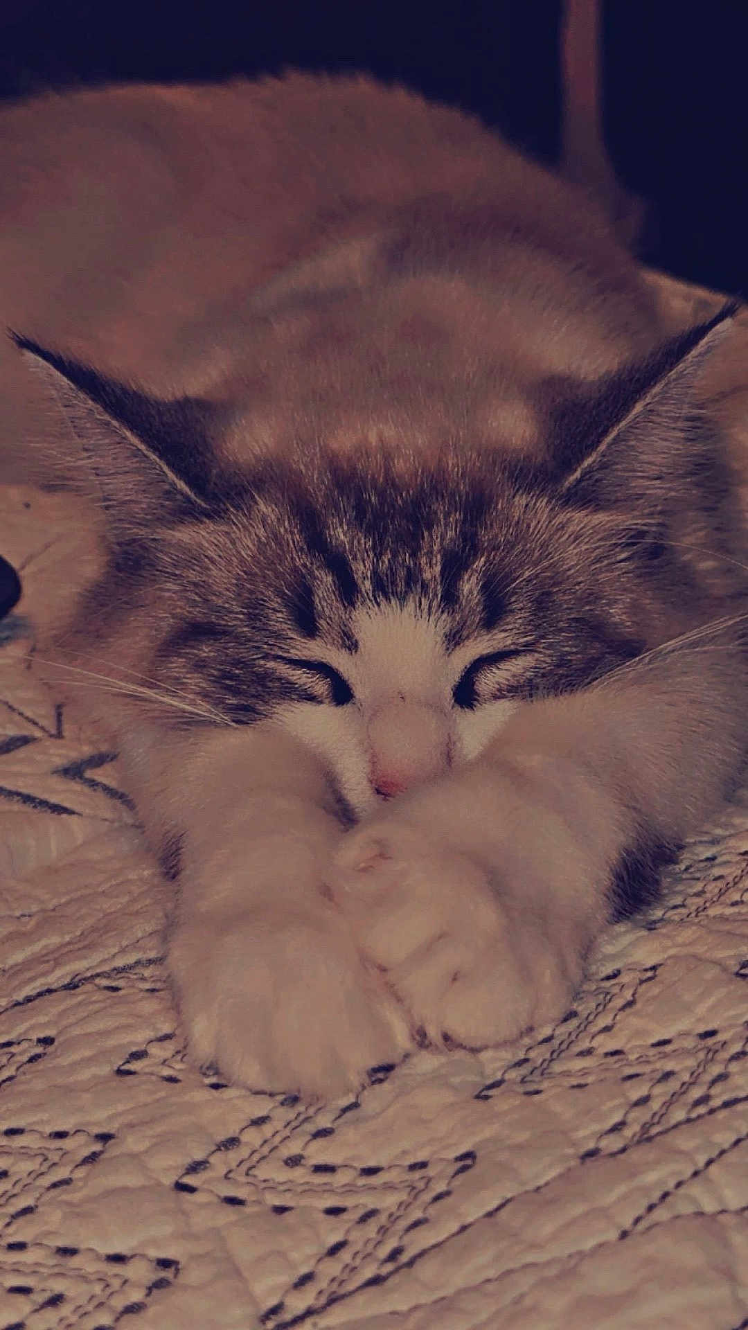 Stormi