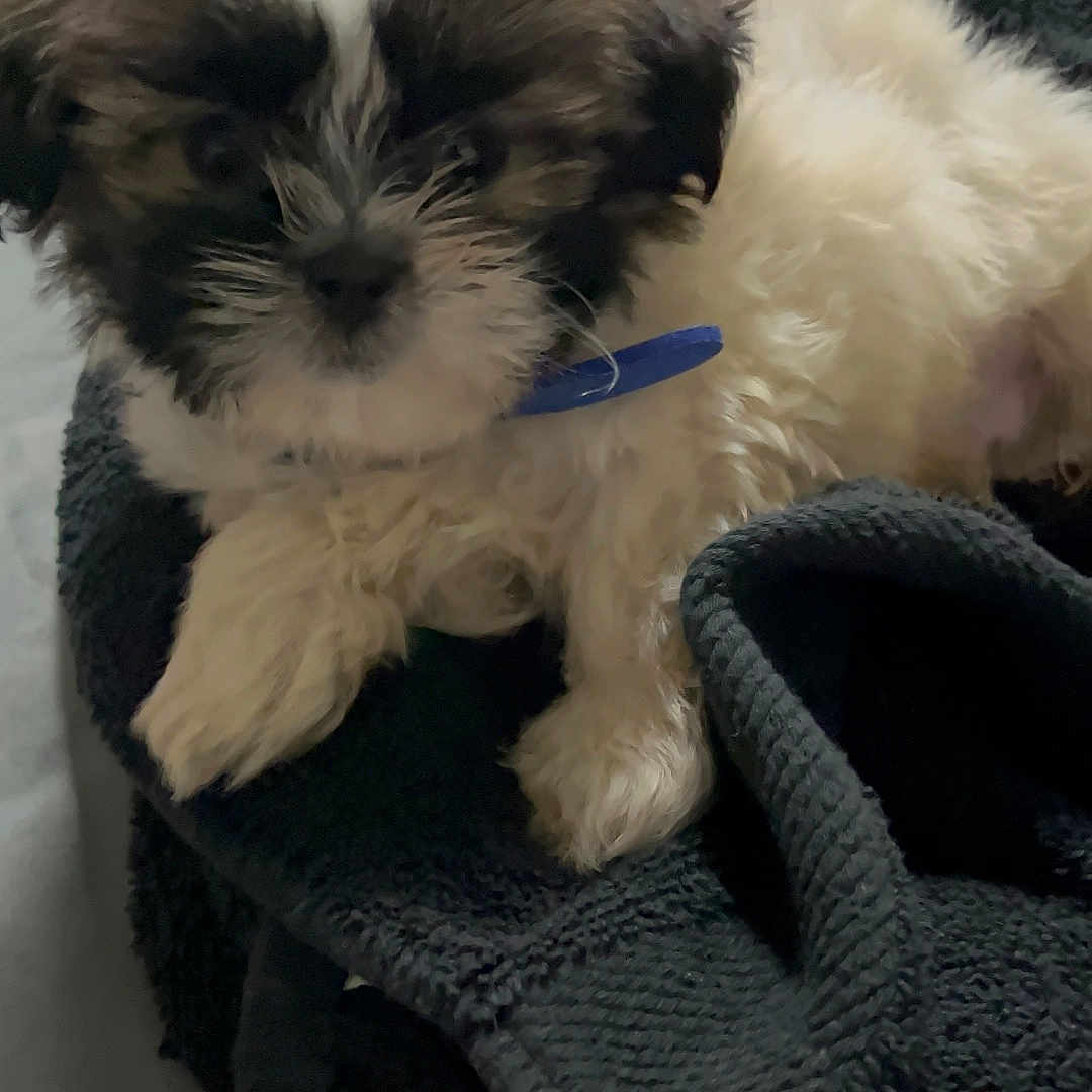 Tyson