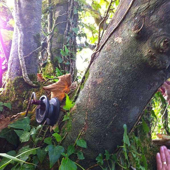 Byren is registered to the contest to win money with this photo: