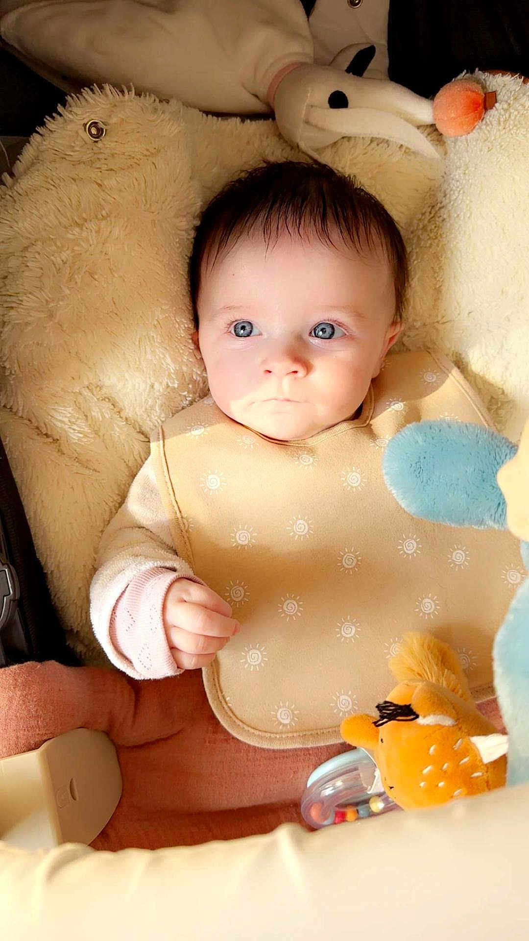 Freyja participe au concours pour gagner de l'argent avec cette photo : baby, infant, blue_eyes, bib, stuffed_toy, plush, blanket, baby_seat, hand, cheeks, portrait, closeup, soft_lighting, gaze, awake, rattle, sleeve, pink_clothing, fur, toy