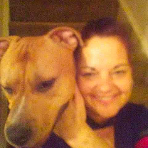 Thunder joined the competition — help win amazing prizes! american_pit_bull_terrier, american_staffordshire_terrier, canidae, carnivore, companion_dog, dog, dog_breed, fawn, mammal, non_sporting_group, nose, pit_bull, puppy_love, snout