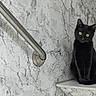 animal, black_cat, cat, fur, furniture, gothic, home, indoors, marble, metal, pet, pointed_ears, portrait, rail, shelf, sitting, tail, wall, whiskers, yellow_eyes