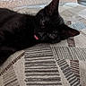 Mushy is registered to the contest to win money with this photo: animal, black_cat, black_fur, close_up, cozy, cushion, green_eyes, indoor, kitten, lying_down, patterned_fabric, pet, pink_tongue, pointed_ears, portrait, relaxed, sleepy, sofa, tongue_out, whiskers