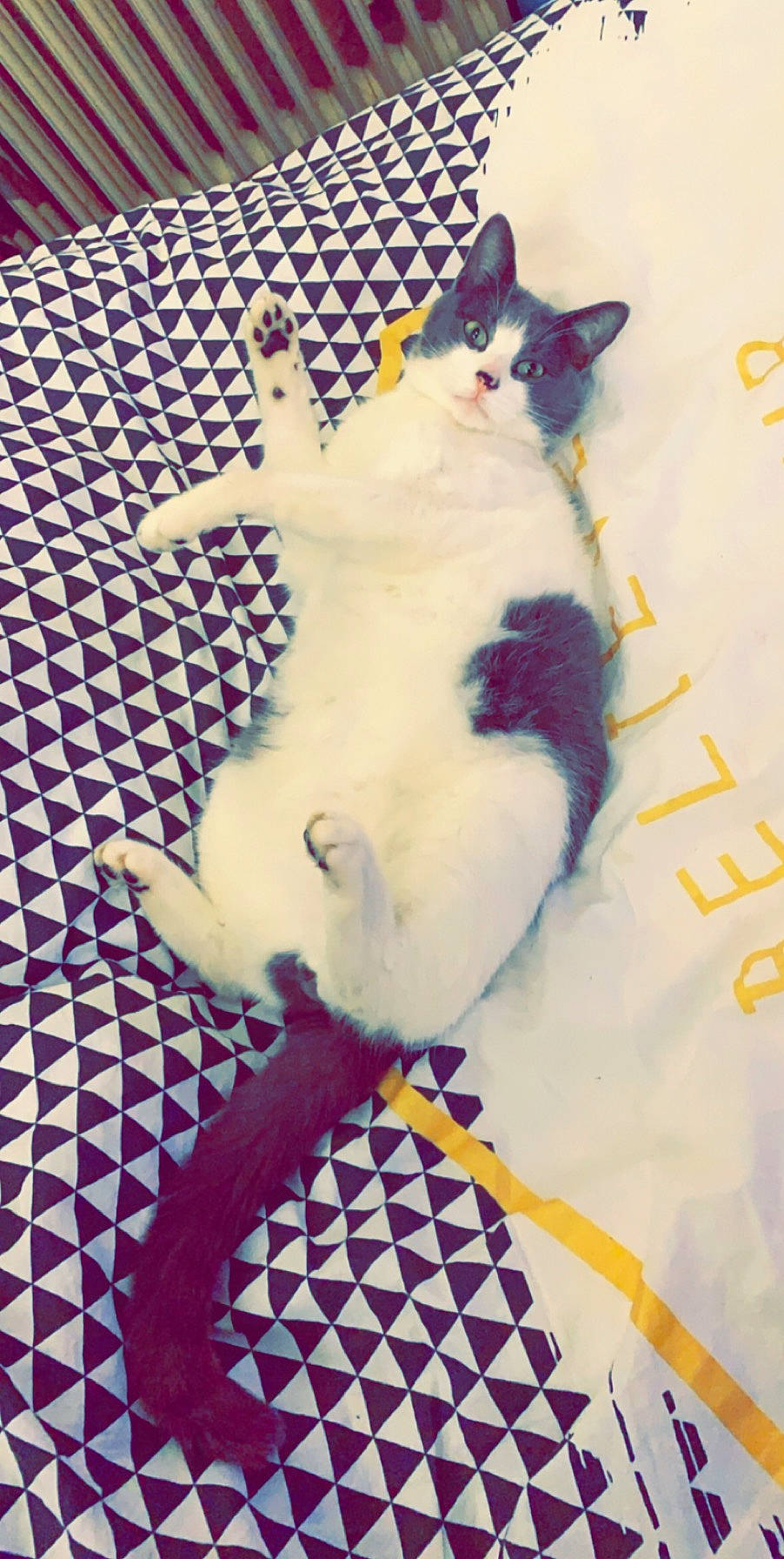 Jeykil a rejoint le concours — aidez-le/la à gagner de superbes lots ! art, fawn, fictional_character, tail