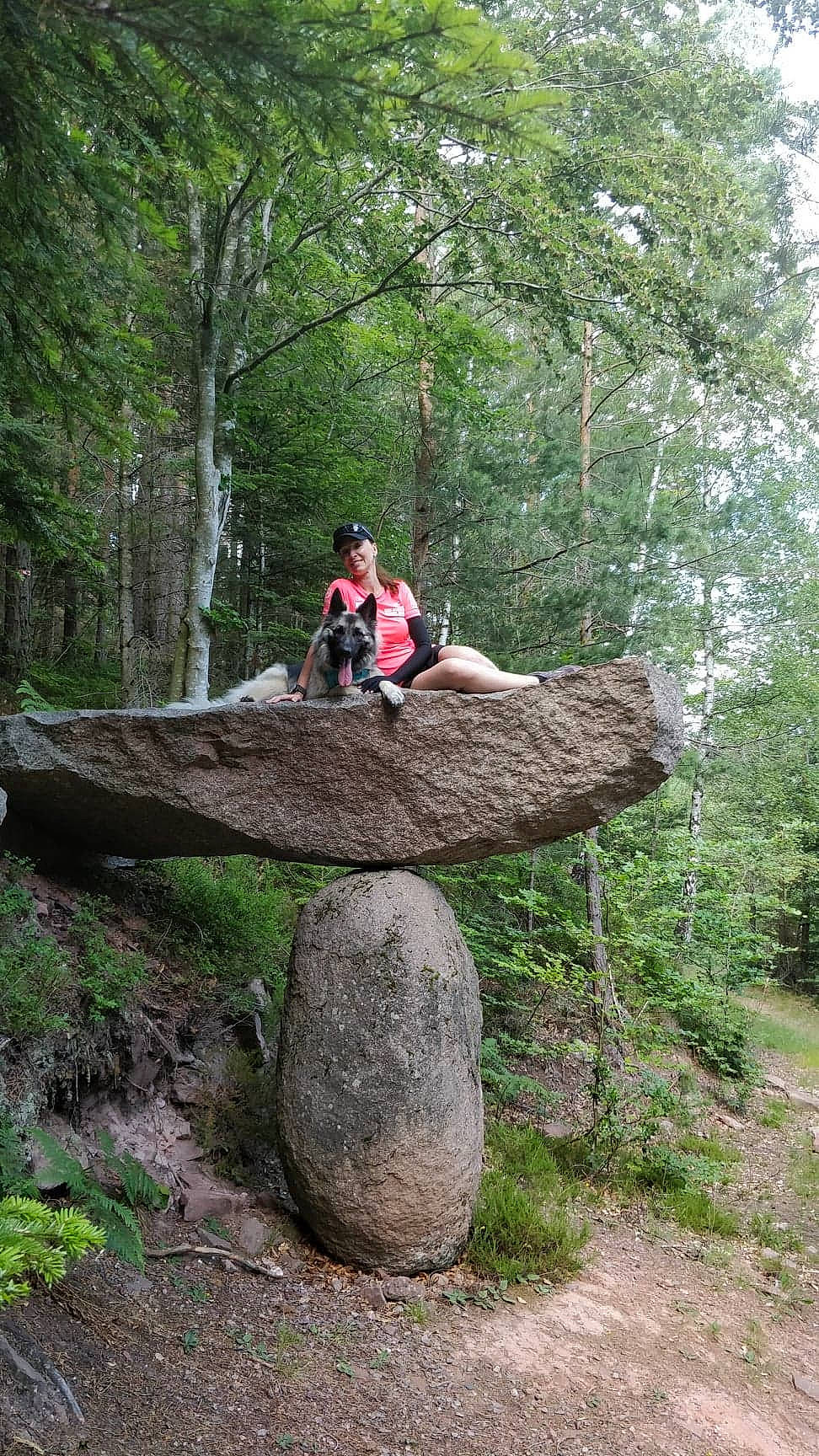 Elka a rejoint le concours — aidez-le/la à gagner de superbes lots ! bedrock, boulder, forest, jungle, nature_reserve, old_growth_forest, outcrop, plant, rock, state_park, tree, trunk, wilderness, woodland