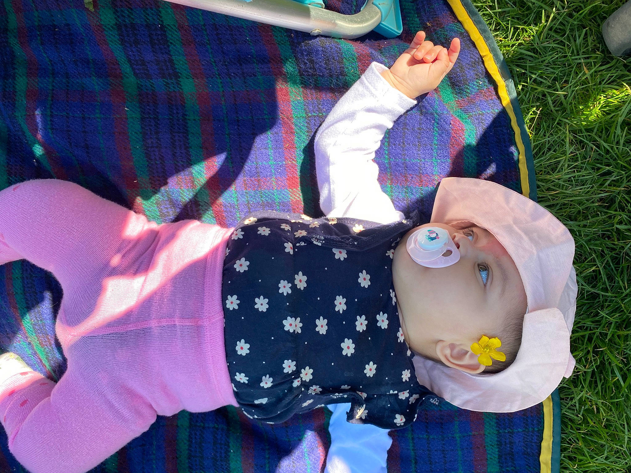 Jade a rejoint le concours — aidez-le/la à gagner de superbes lots ! baby, baby_products, baby_toddler_clothing, child, design, fun, grass, green, happy, hat, lap, magenta, pattern, person, plaid, plant, play, purple, tartan, textile