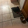 dog, indoor, tile_floor, mat, toy, water_bowl, black_dog, pet, resting, collar, home, floor, plastic_container, door, corner, animal, domestic, quiet, small, household