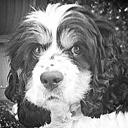 Joy participe au concours pour gagner de l'argent avec cette photo :