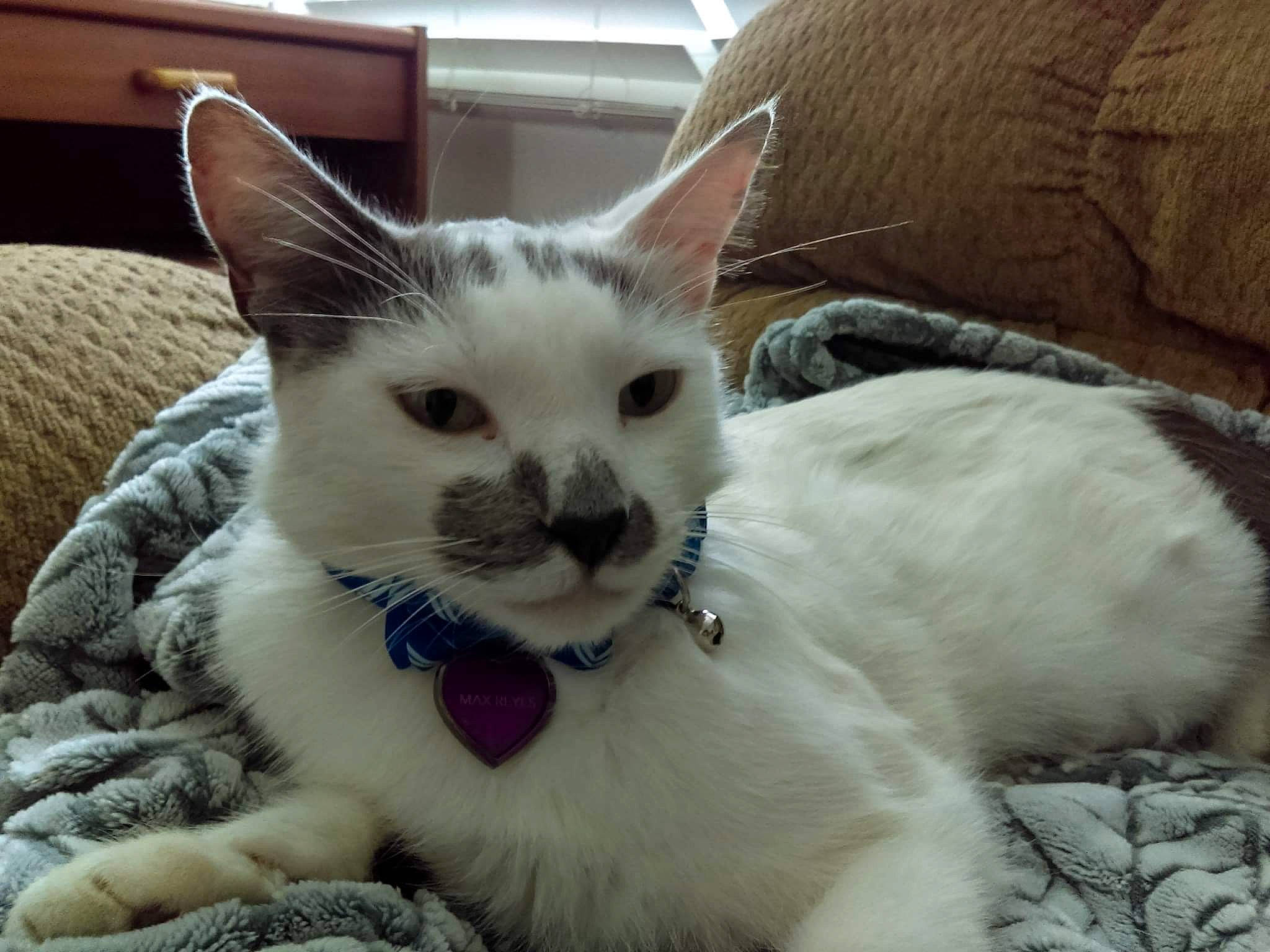 Max