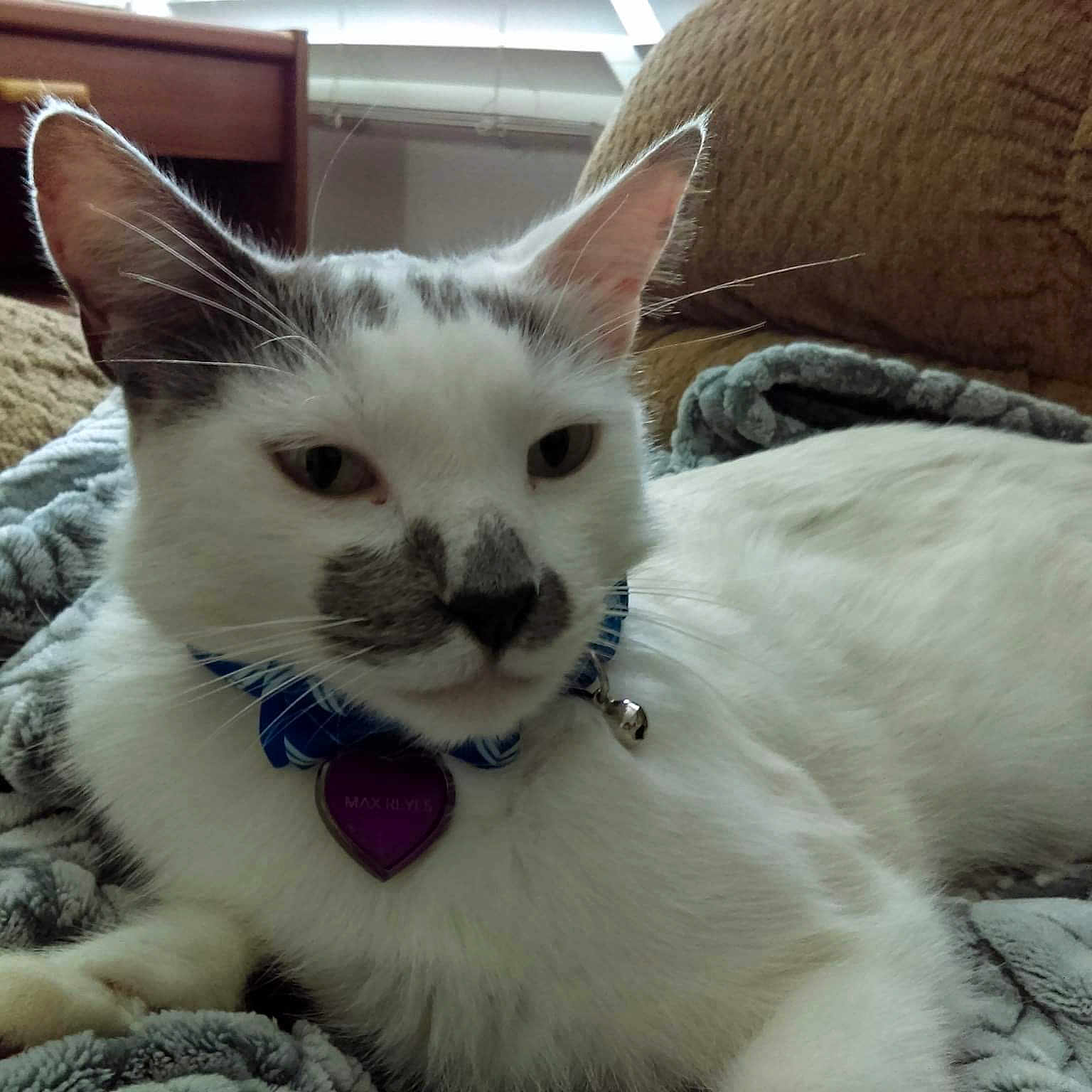 Max