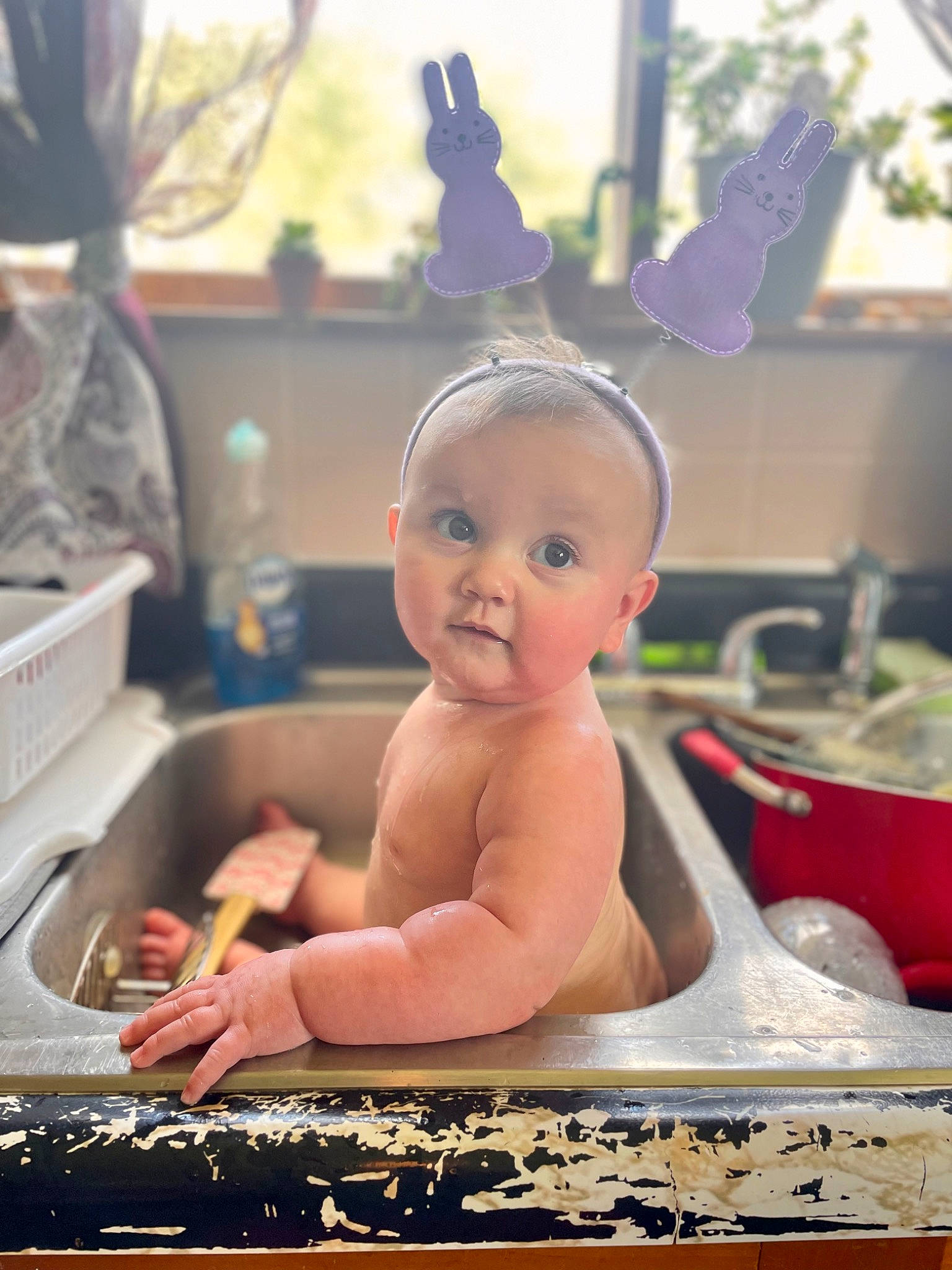 Blair joined the competition — help win amazing prizes! baby, baby_bathing, baby_products, bathing, child, fashion_accessory, flowerpot, foot, fun, happy, headpiece, houseplant, jewellery, leisure, person, portrait_photography, room, sitting, smile, toddler