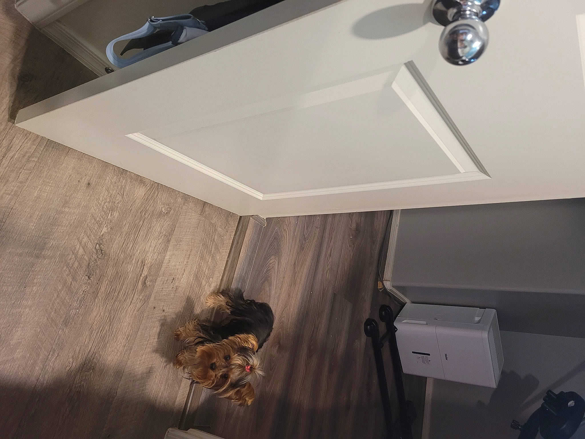 Peanut joined the competition — help win amazing prizes! building, cabinetry, ceiling, countertop, desk, floor, flooring, grey, hardwood, house, interior_design, lighting, material_property, plumbing_fixture, rectangle, shelving, table, window, wood, wood_stain