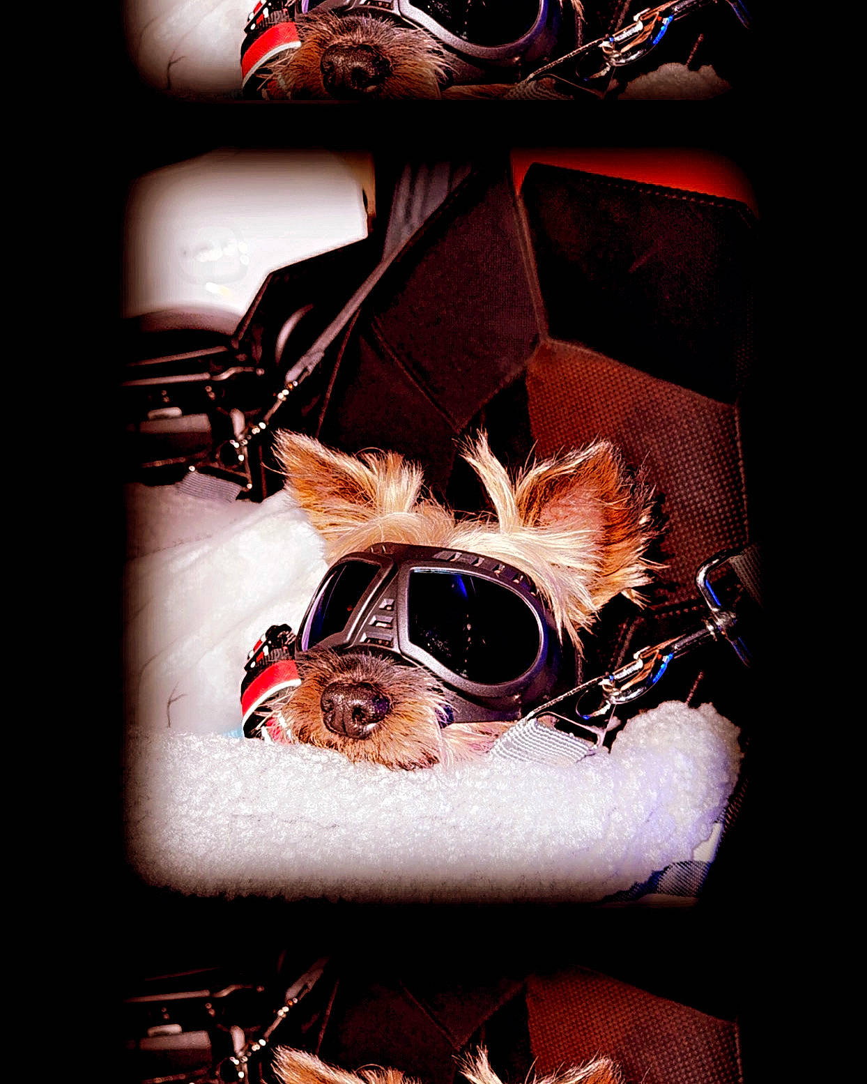 Alvin joined the competition — help win amazing prizes! art, carmine, darkness, event, eyewear, fashion_accessory, fiction, fictional_character, font, graphic_design, graphics, illustration, jewellery, mask, metal, necklace, personal_protective_equipment, sleeve, still_life_photography, visual_arts