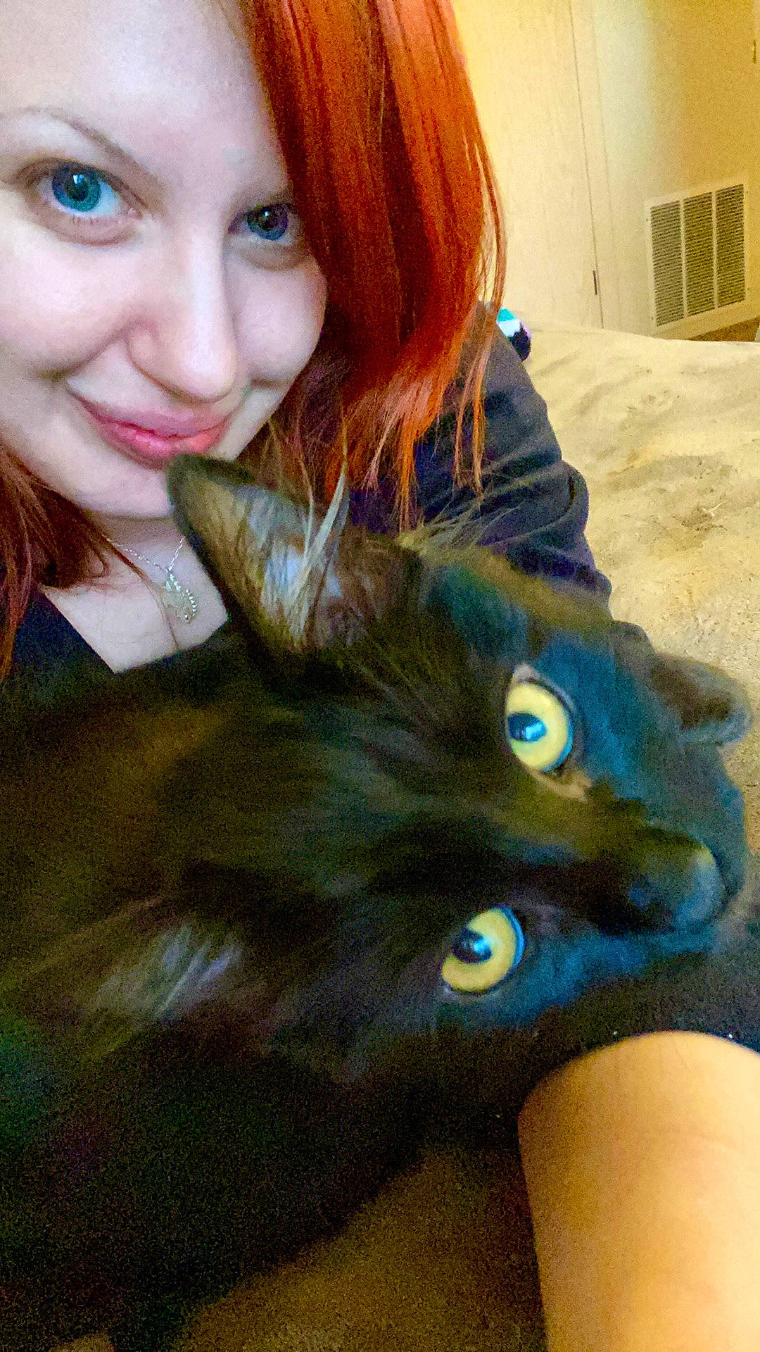 Master is registered to the contest to win money with this photo: carnivore, cat, cool, eye, eyebrow, eyelash, face, felidae, gesture, hair, head, iris, jaw, lip, mouth, nose, organ, skin, small_to_medium_sized_cats, smile