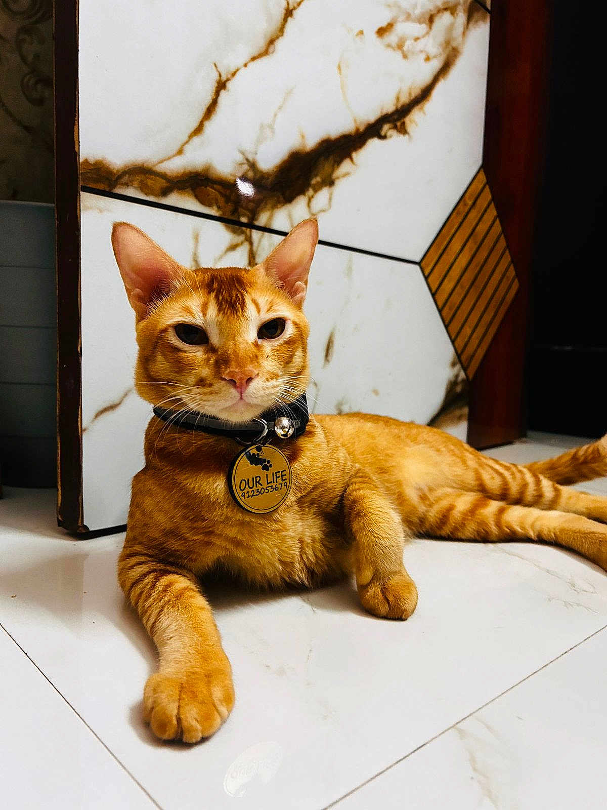 Ginger