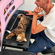 Mistik participe au concours pour gagner de l'argent avec cette photo : bracelet, casual_clothing, cat, chair, computer, curved_monitor, desk, floor_tiles, focused, gaming_controller, home_office, indoor, keyboard, man, mouse, pet, relaxed, slippers, spotted_cat, technology