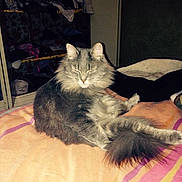 Mayotte a rejoint le concours — aidez-le/la à gagner de superbes lots !