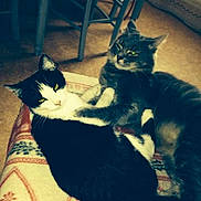 Mayotte a rejoint le concours — aidez-le/la à gagner de superbes lots !