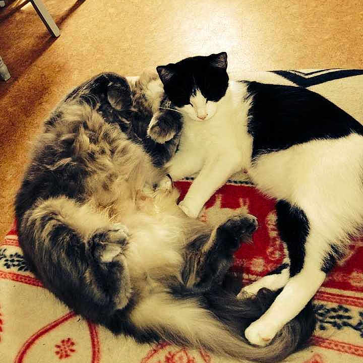 Mayotte participe au concours pour gagner de l'argent avec cette photo :