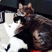 Mayotte Fifi participe au concours pour gagner de l'argent avec cette photo :