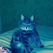 Mayotte a rejoint le concours — aidez-le/la à gagner de superbes lots !