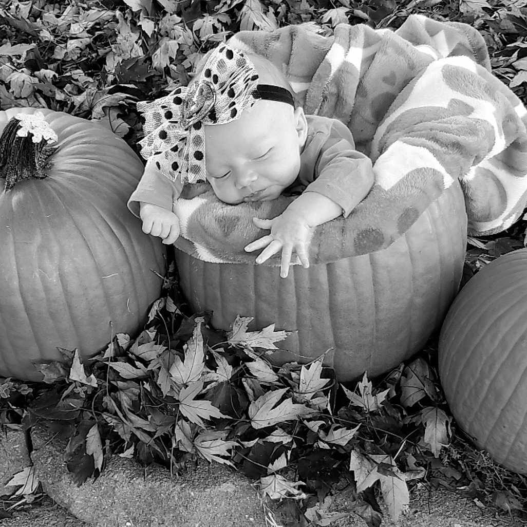 Elyssa joined the competition — help win amazing prizes! adaptation, black, calabaza, cucurbita, eye, food, fruit, gourd, grass, local_food, monochrome, monochrome_photography, natural_foods, plant, produce, pumpkin, squash, vegetable, whole_food, winter_squash