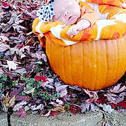 Elyssa is registered to the contest to win money with this photo: art, autumn, calabaza, cucurbita, deciduous, gourd, grass, groundcover, leaf, natural_foods, plant, produce, pumpkin, road_surface, squash, tints_and_shades, toy, tree, vegetable, winter_squash