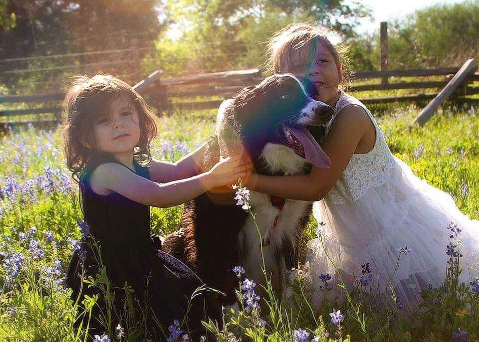 Domino joined the competition — help win amazing prizes! bride, ceremony, dress, emotion, flower, friendship, fun, girl, grass, happiness, love, person, photograph, plant, purple, smile, spring, tree, wedding, woman