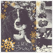 Domino is registered to the contest to win money with this photo: album, album_cover, art, black_and_white, carnivoran, collage, dog, dog_like_mammal, font, graphics, picture_frame, square